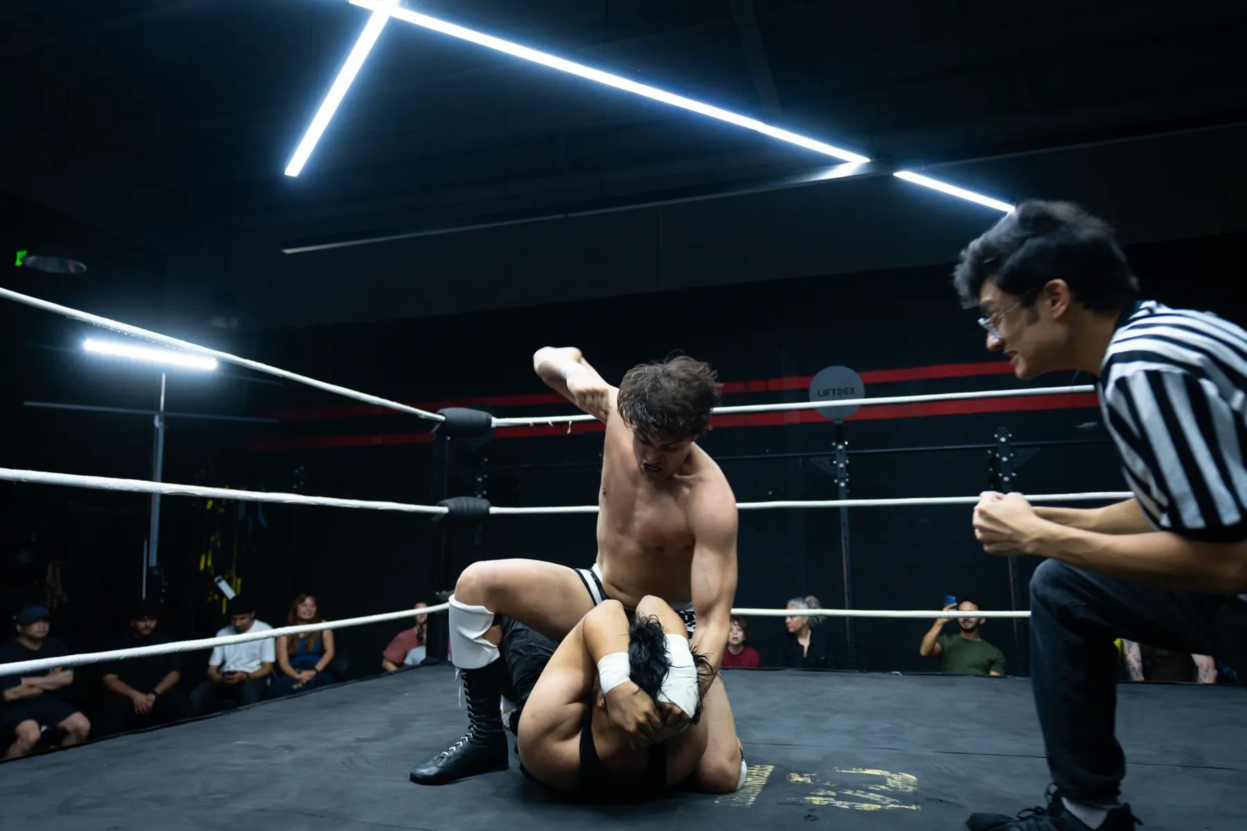 In-Ring Highlights